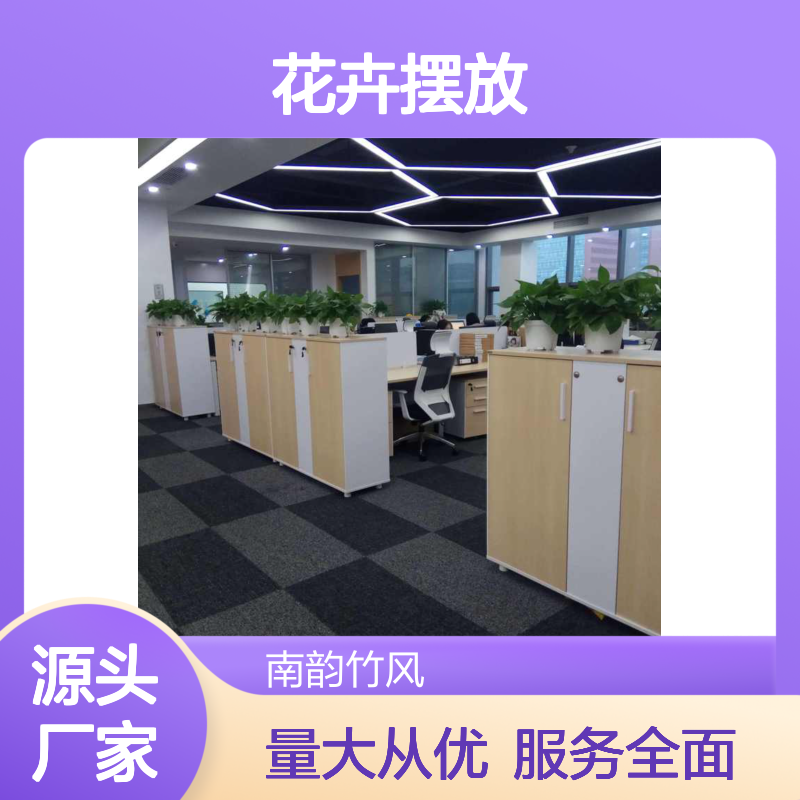 南韵竹风花卉摆放 承接绿化工程设计 成活率高