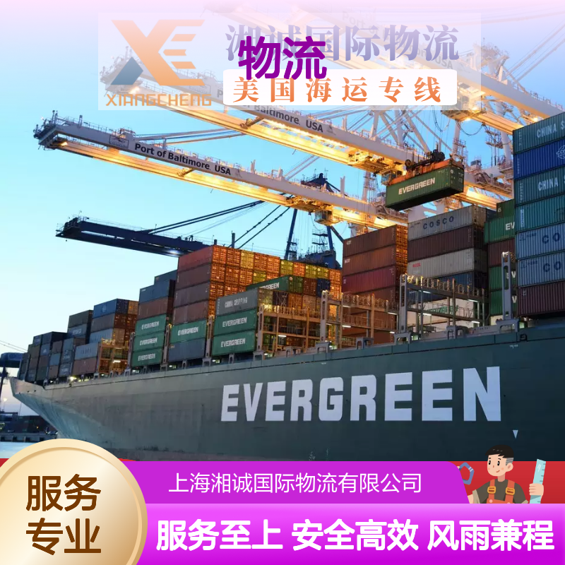 国际物流公司海运 货代上门取件美森盐田普船海派美国欧洲加拿大