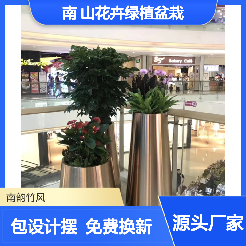 南 山花卉绿植盆栽租摆服务 大型植物造景 场地花卉景观布置 南韵竹风