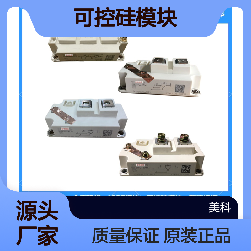 SKB25/06德国SEMIKRON西门康可控硅模块全新供应