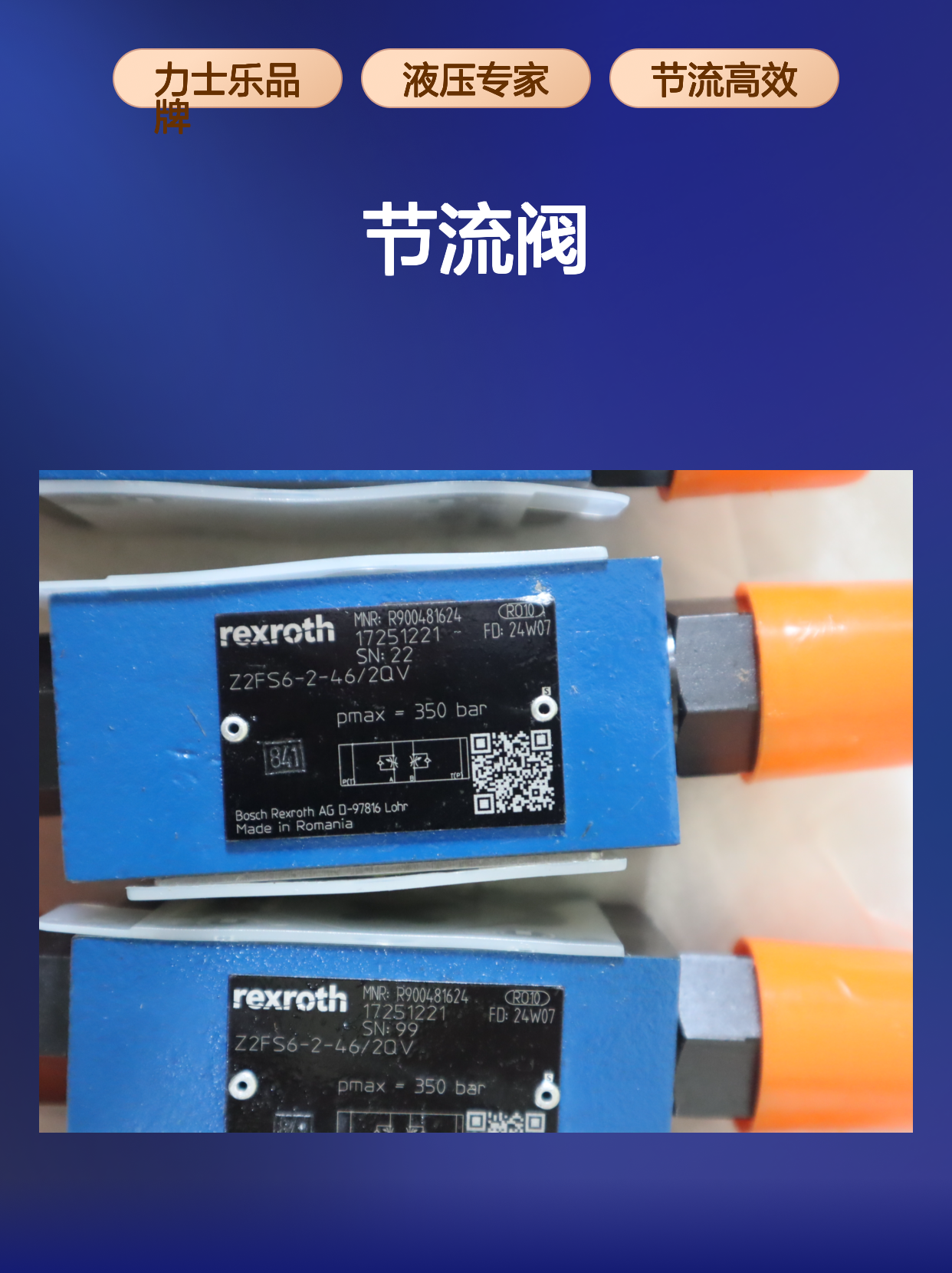 Z2FS6-2-45/2QV Z2FS6-2-43/2QV R900481624 力士乐REXROTH节流阀
