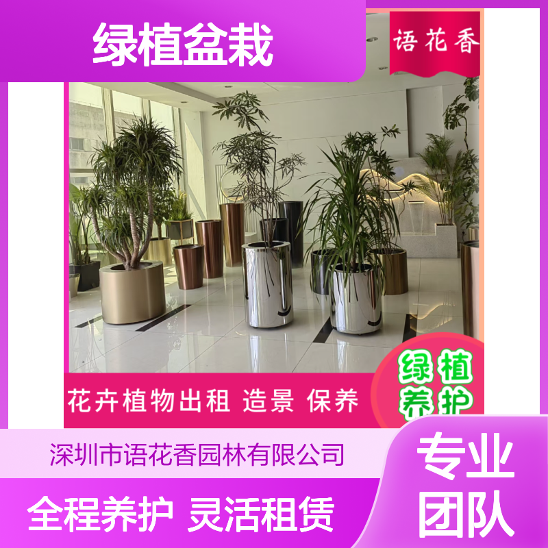 节日庆典绿植盆栽租赁 免费养护服务 多肉小盆栽组合设计