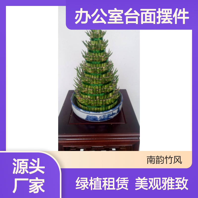 开运竹盆栽宝 安绿植租赁业务 九层竹塔办公室台面摆件