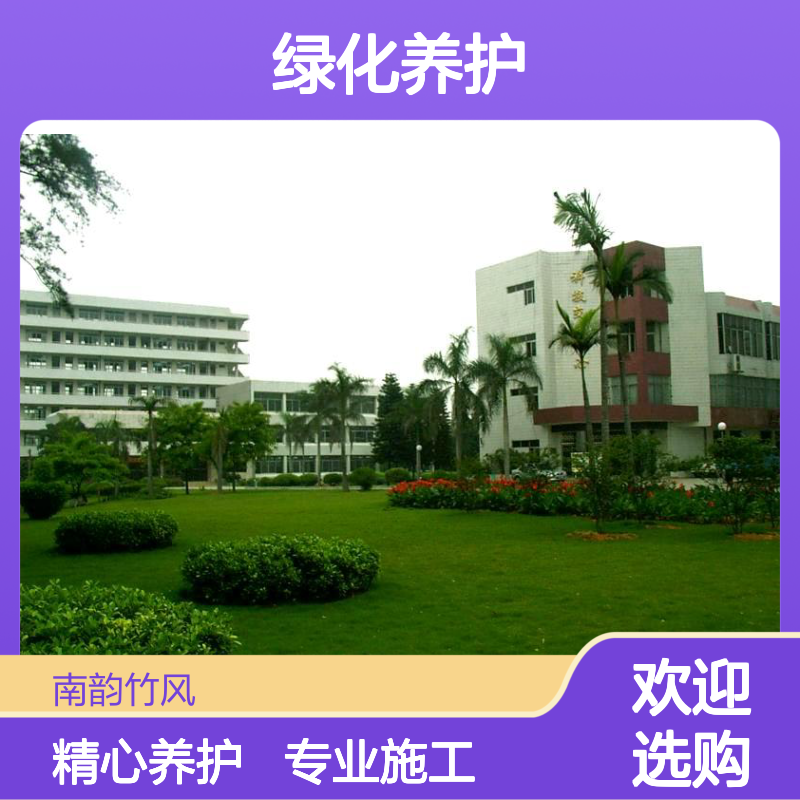 园林绿化施工养护 工业区园区绿化养护 南韵竹风