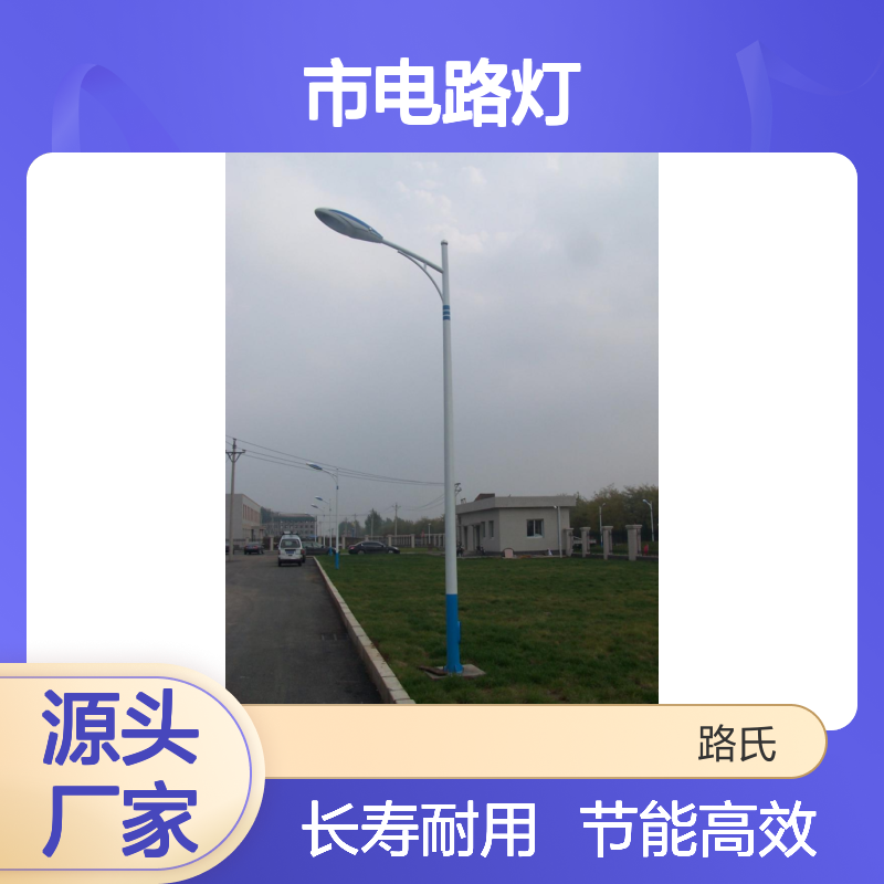 8米市电路灯 LED光源 路氏户外道路照明 50W 防眩晕