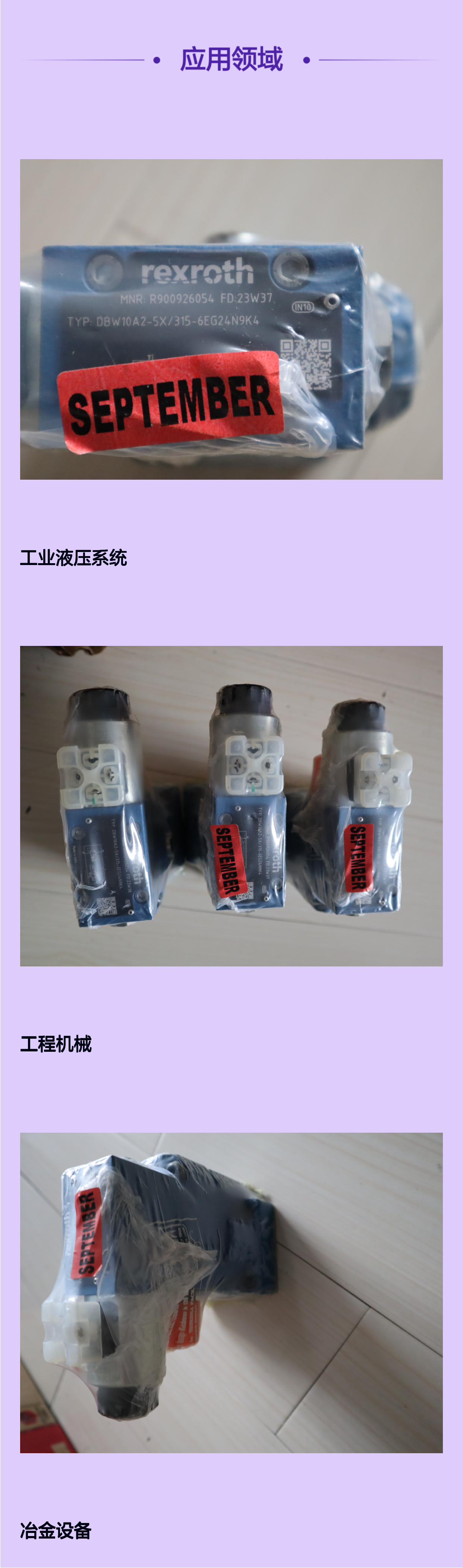 DBW10A2-52/315-6EG24N9K4 R900926054 德国力士乐REXROTH溢流阀