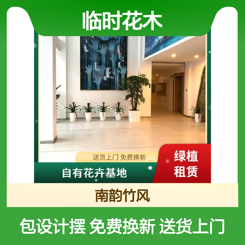临时花木租摆 市民中心盆栽租售 展厅绿植场景布置 南韵竹风