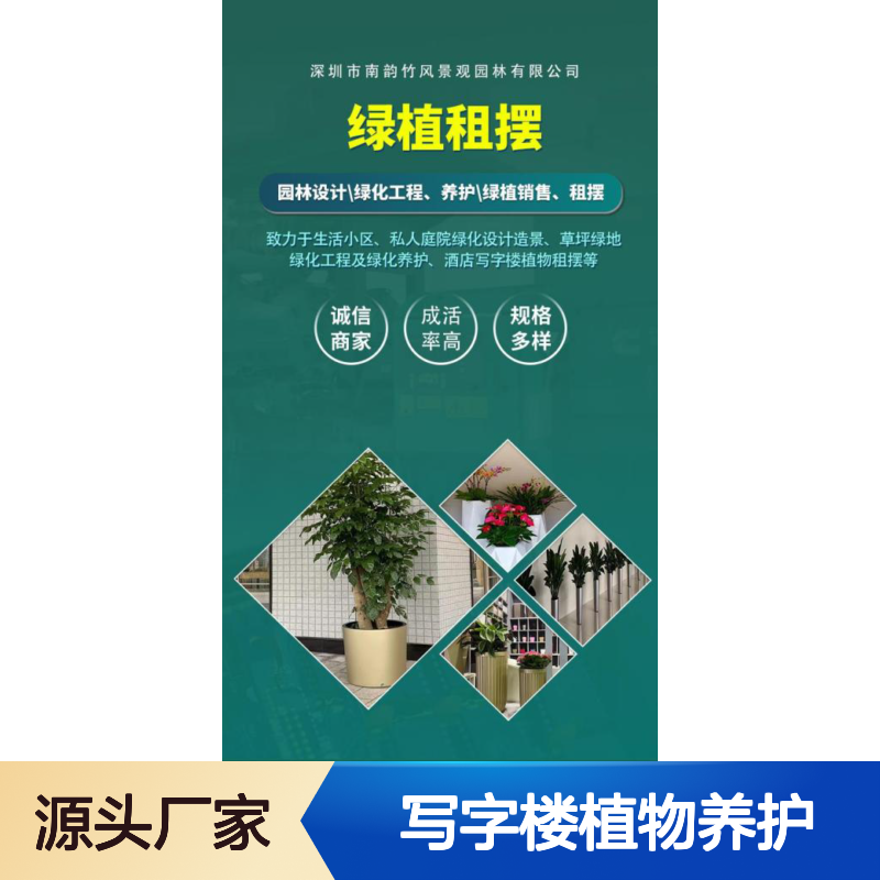 写字楼植物养护 植物盆栽出租 定期上门护理 免费更换