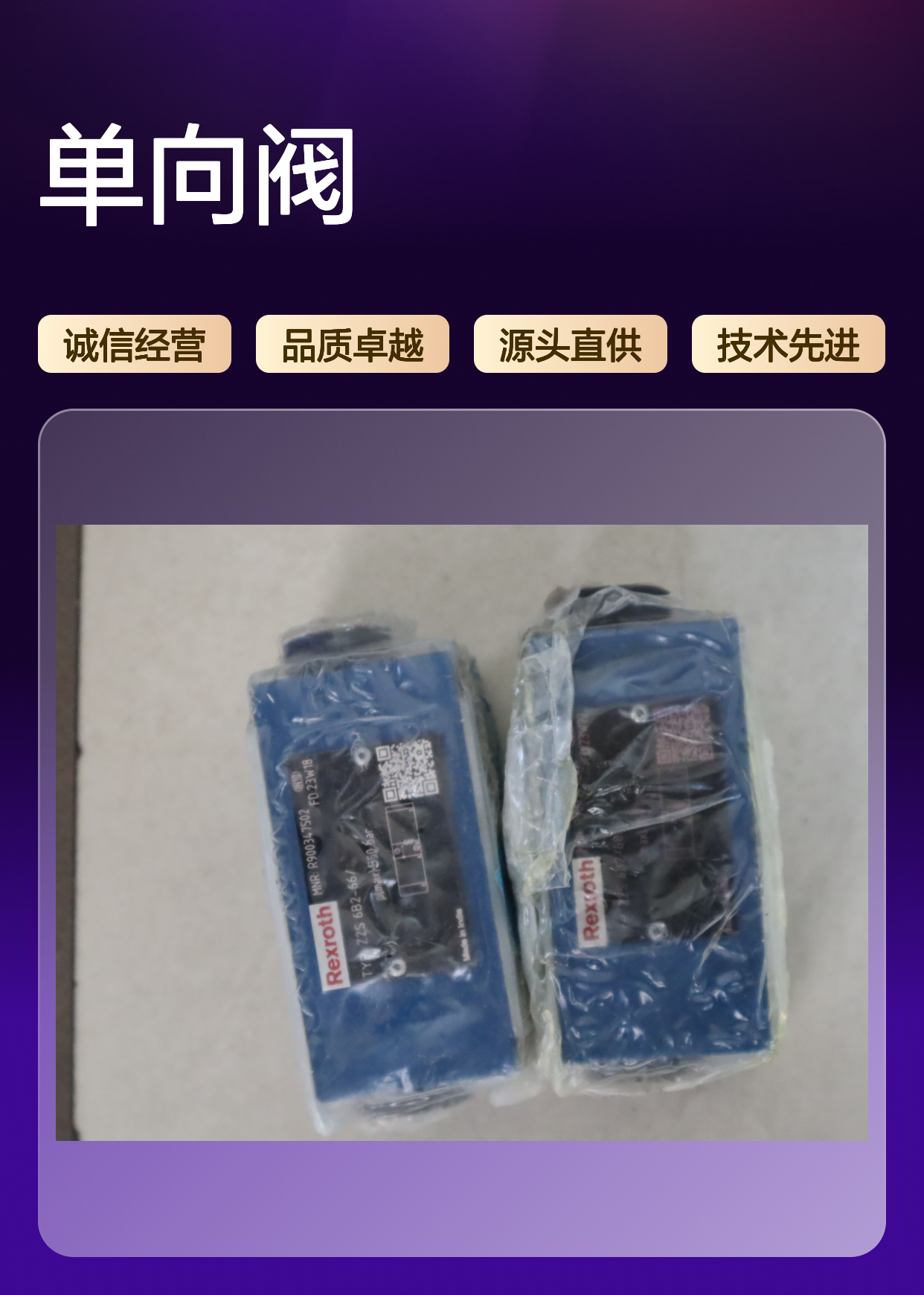 R900347502 Z2S6B2-60/ Z2S6B2-61/ Z2S6B2-67/ 力士乐REXROTH单向阀