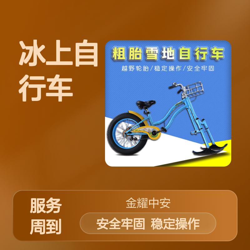 冰场户外运动 冰车子爬犁亲子骑车冰上自行车 滑冰项目