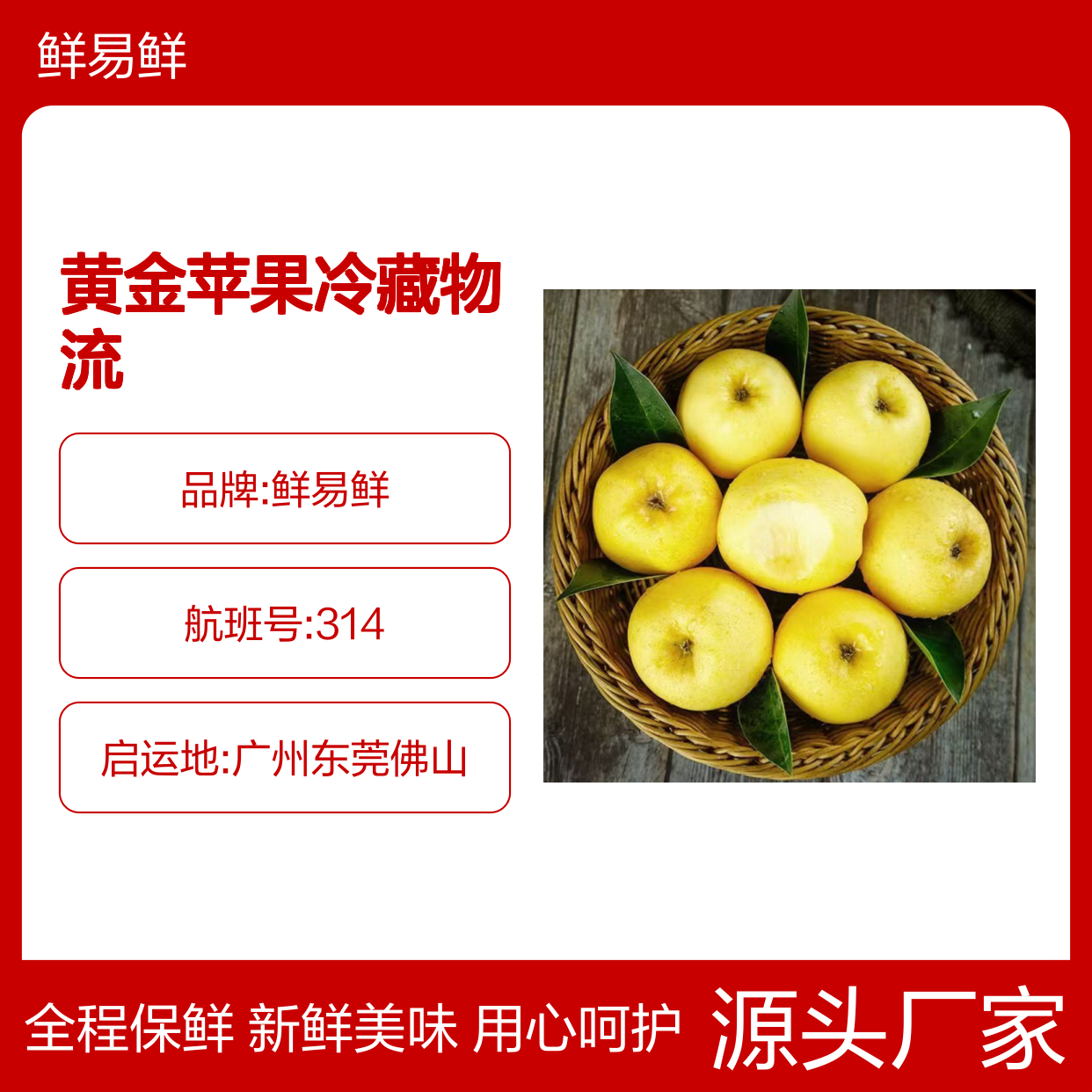 鲜易鲜冷链 维纳斯黄金苹果冷藏运输 标准化冷链物流服务