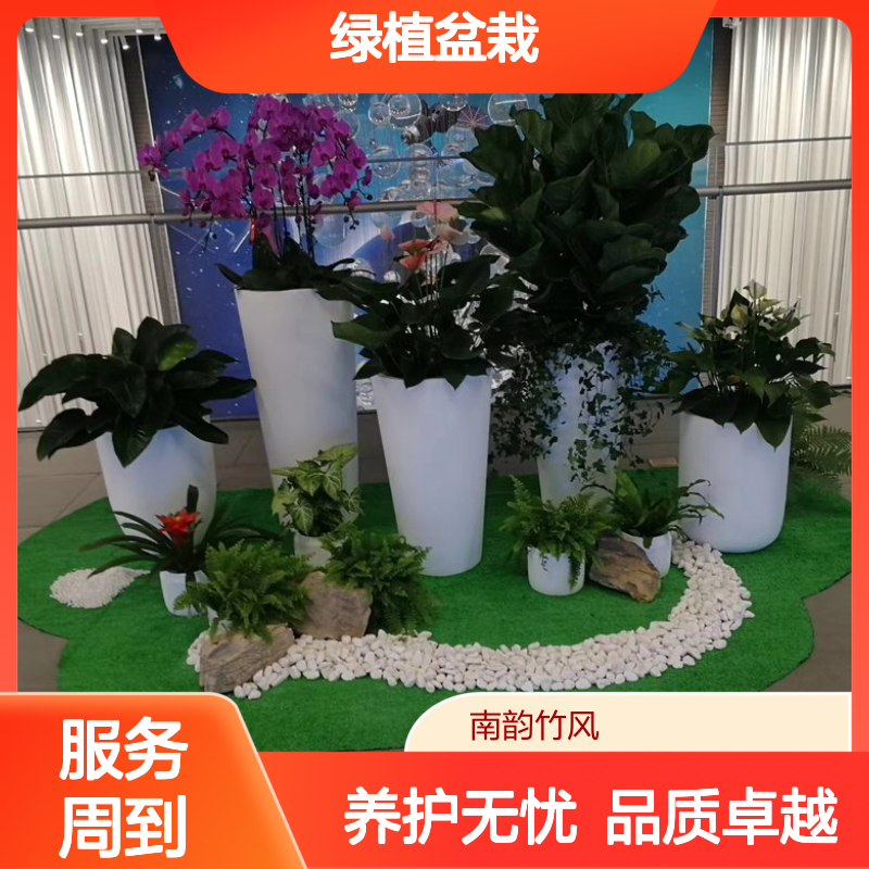 商场植物造景 绿植盆栽组合 新型花卉租摆养护服务 南韵竹风