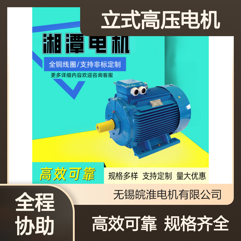 湘1潭2电机YKSL立式高压电机带空水冷却大型水泵用