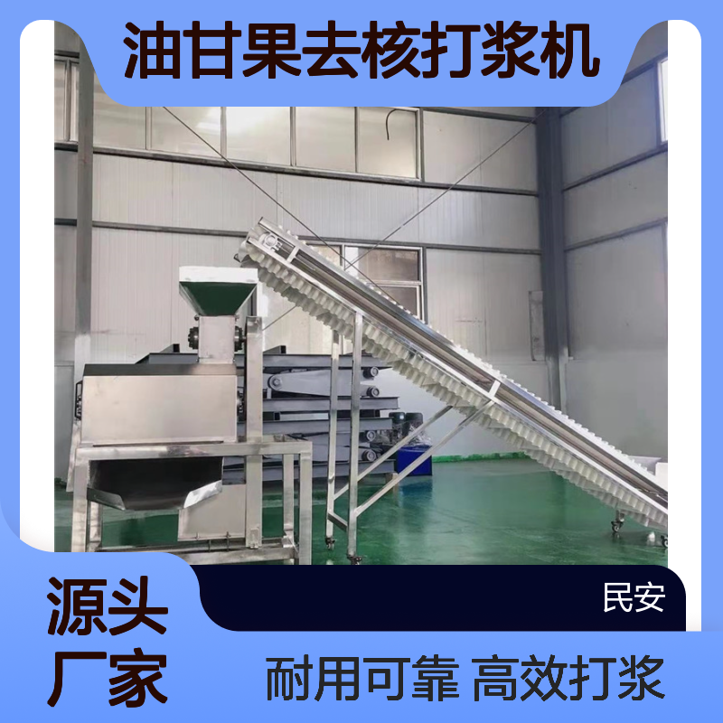 刺梨油甘果去核打浆机 民安工业螺旋果蔬榨汁机 雪梨萝卜破碎取汁机