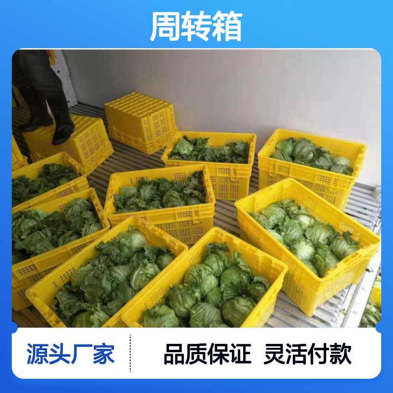 乔丰周转箱 全新料制 食品级安全 耐用可靠 样式多样