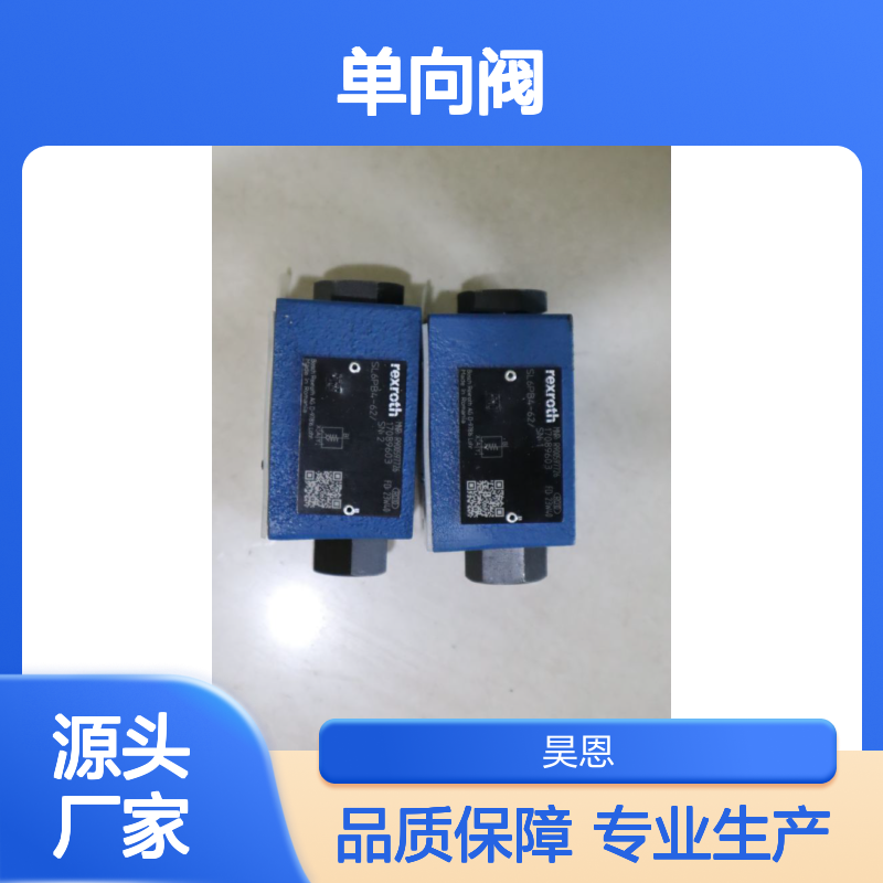 SL6PB4-62/ SL6PB4-6X/ SL6PB4-61/ R900597726 力士乐REXROTH单向阀