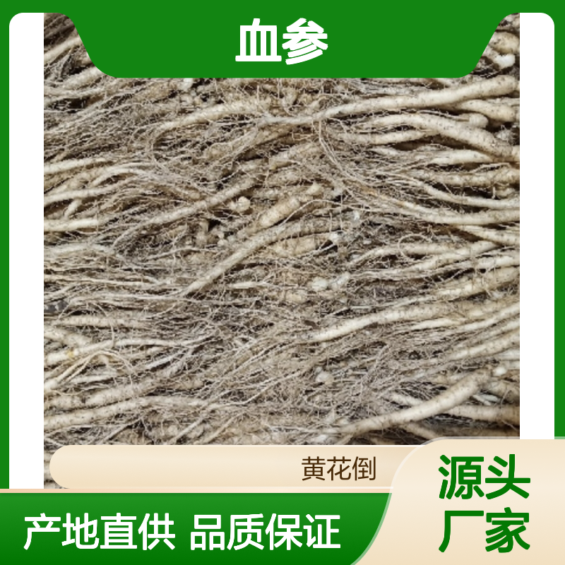 血参批发零售 源自天然种植基地 通气性好 排水优良