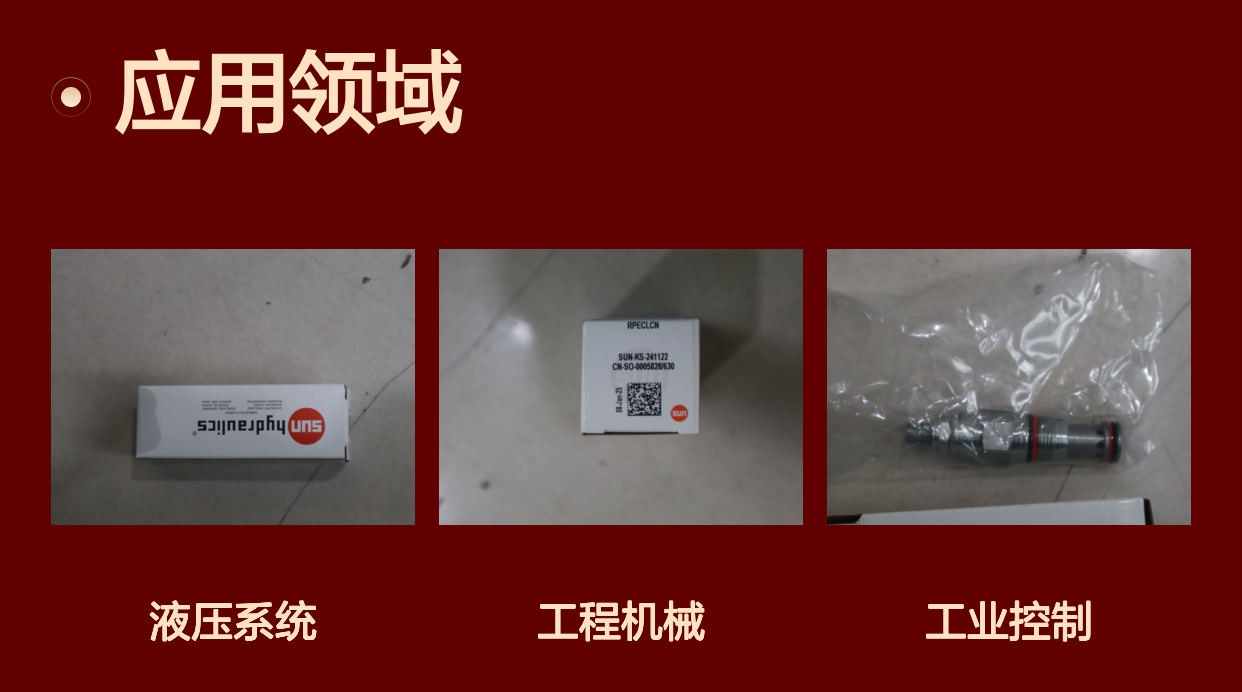 美国太阳SUN插装阀 RPECLCN TRQ30-35 LBFFT/41-47NM