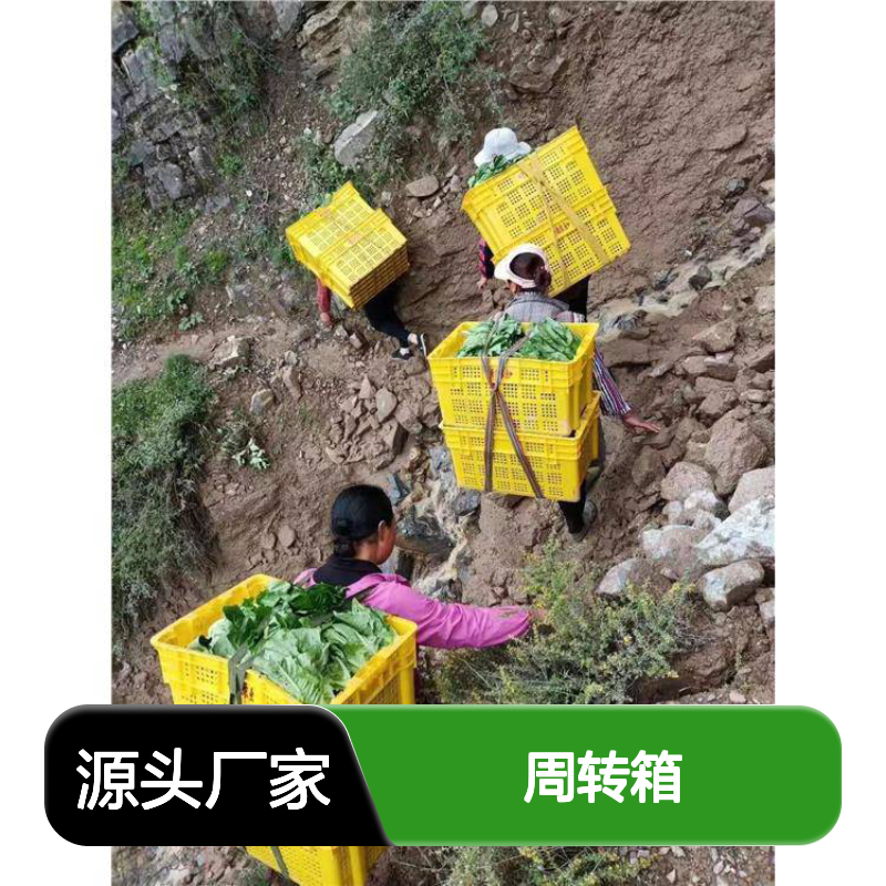 乔丰全新料塑料周转箱 耐摔环保 食品级材质 颜色可定
