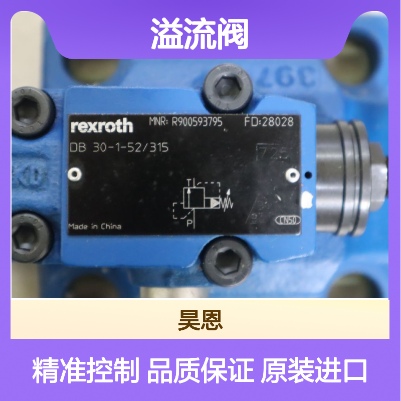 R900593795 DB30-1-53/315 DB30-1-54/315 德国力士乐REXROTH溢流阀