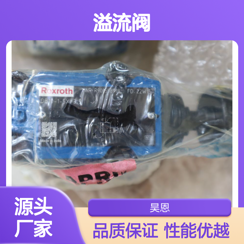 DB10-1-5X/315 DB10-1-52/315 R900598998 德国力士乐REXROTH溢流阀
