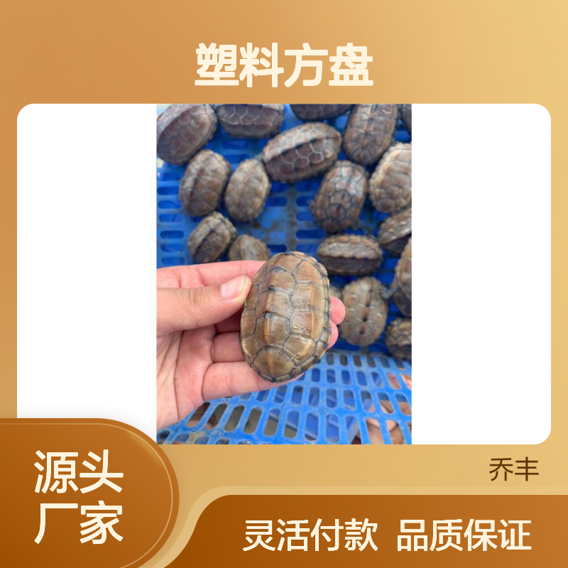 乔丰塑胶 塑料方盘 多尺寸可选 食品级别 结实耐用