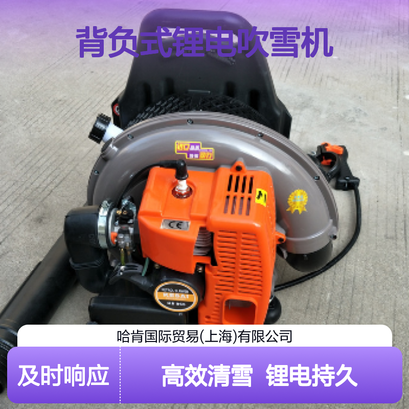 哈肯国际贸易供应 背负式锂电吹雪机 AJL-LDQ2001