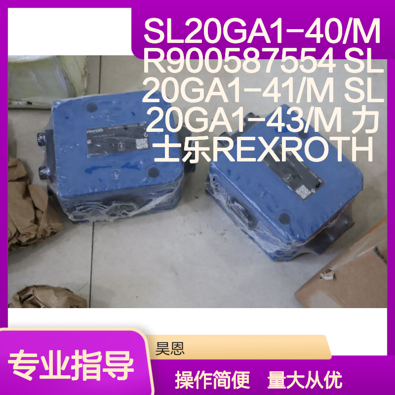 SL20GA1-40/M R900587554 力士乐REXROTH液压阀 精准控制 高效稳定