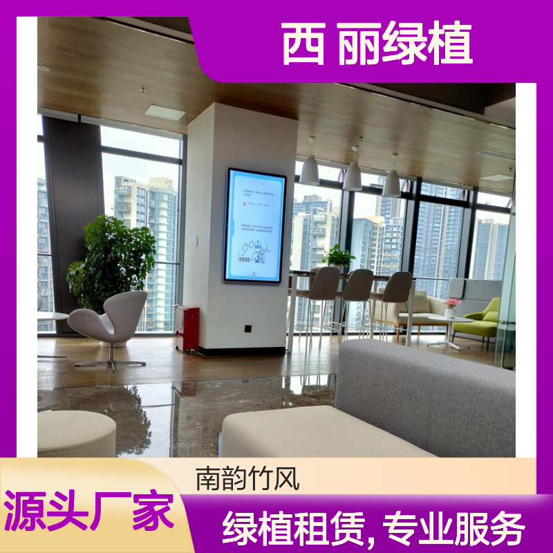 西 丽绿植租赁 植物组凭服务 花卉盆栽上门养护 免费换新
