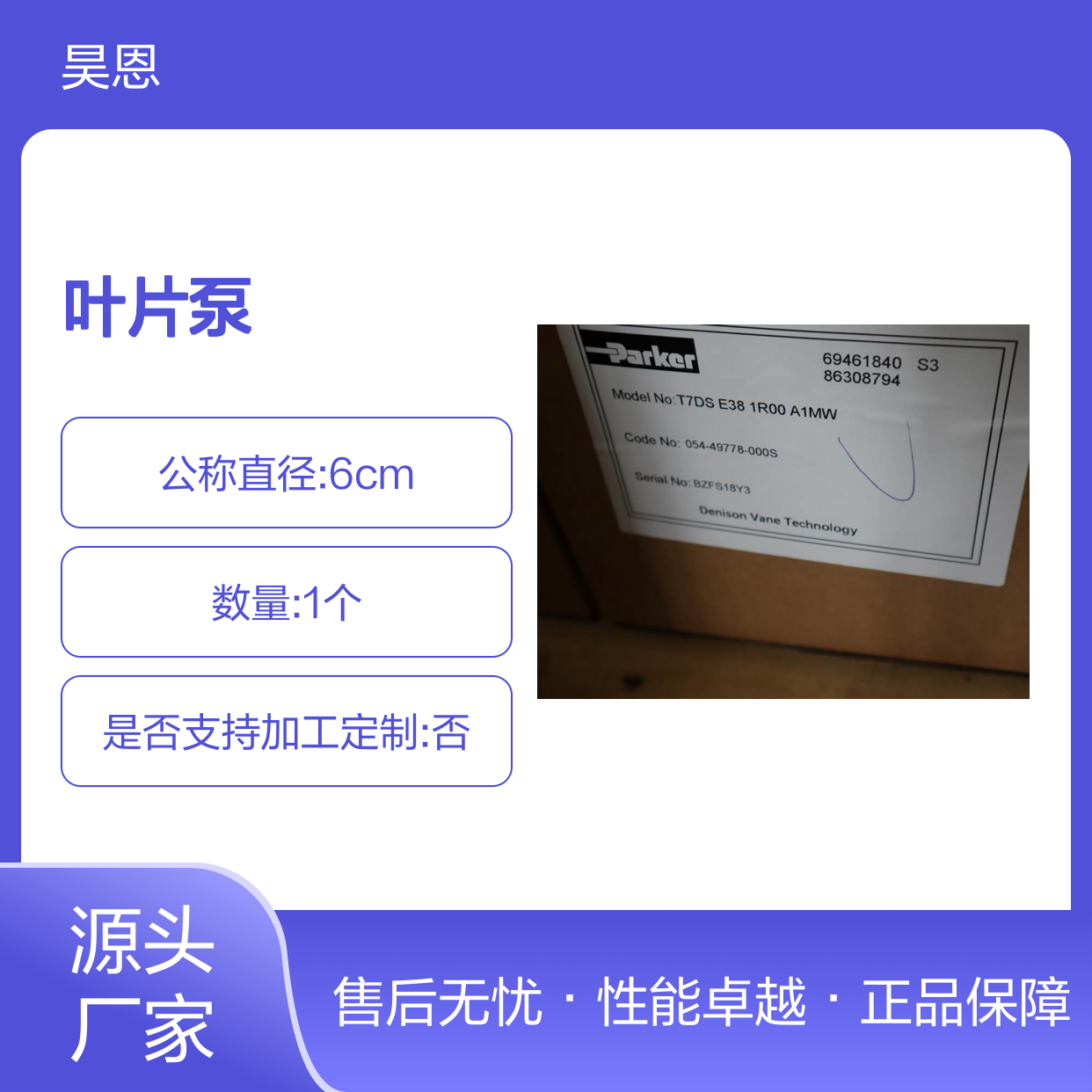 054-49778-000S T7DS E38 1R00 A1MW 派克PARKER叶片泵DENISON丹尼逊