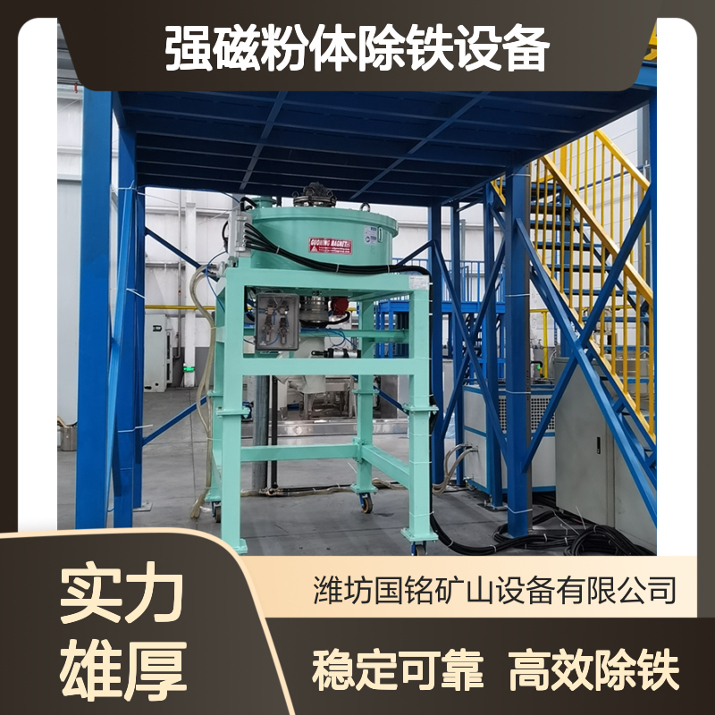 强磁粉体除铁设备 精准除杂零残留 厂家品质保证