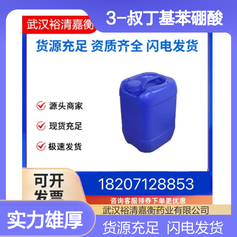 3-叔丁基苯硼酸CAS:560132-24-3白色粉末98,医药中间体