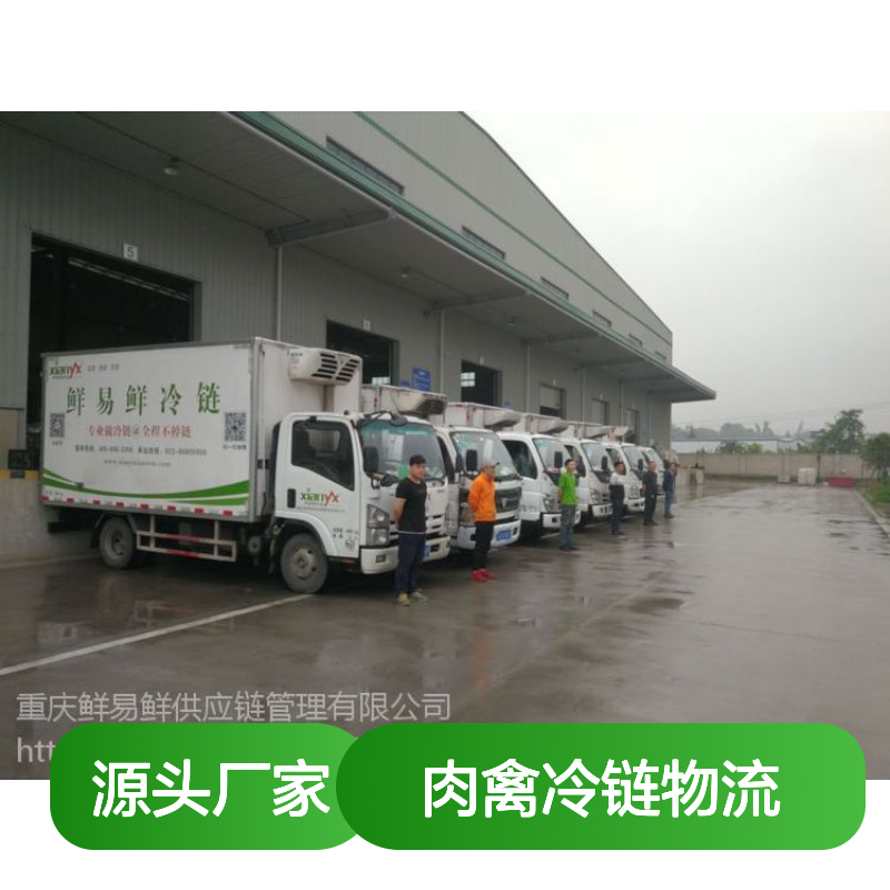 广州到成都冷冻物流 冷藏配送 冷冻运输 药品配送 肉禽冷链物流
