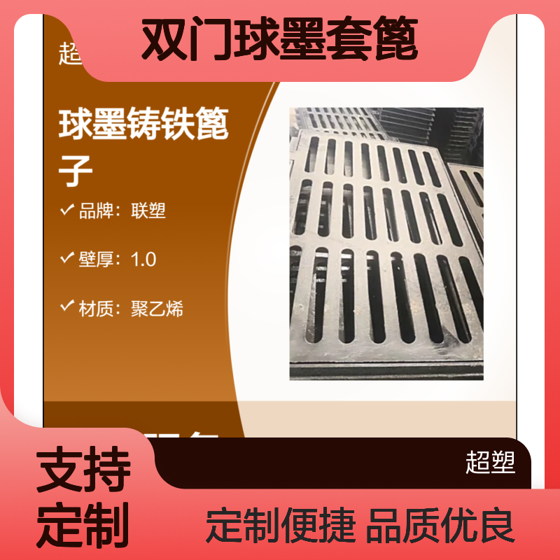 双门球墨套篦380*725 380*1450铸铁平篦 道路排水 可定制