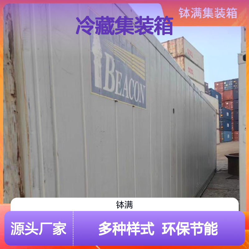 出租出售 冷藏集装箱 冷冻货柜 多种样式可选环保节能 全天候稳定运行