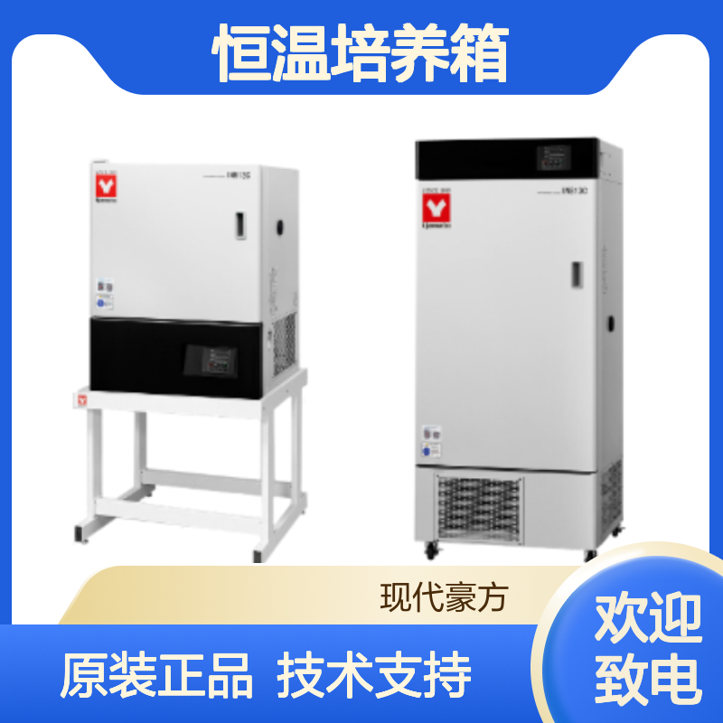IN913C恒温培养箱yamato可用于低温实验可保温