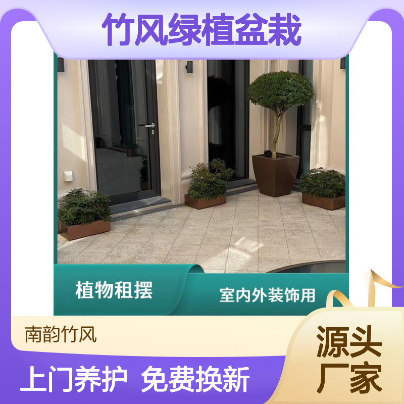 南韵竹风绿植盆栽租售 福田盆栽出租 办公室花卉绿植养护