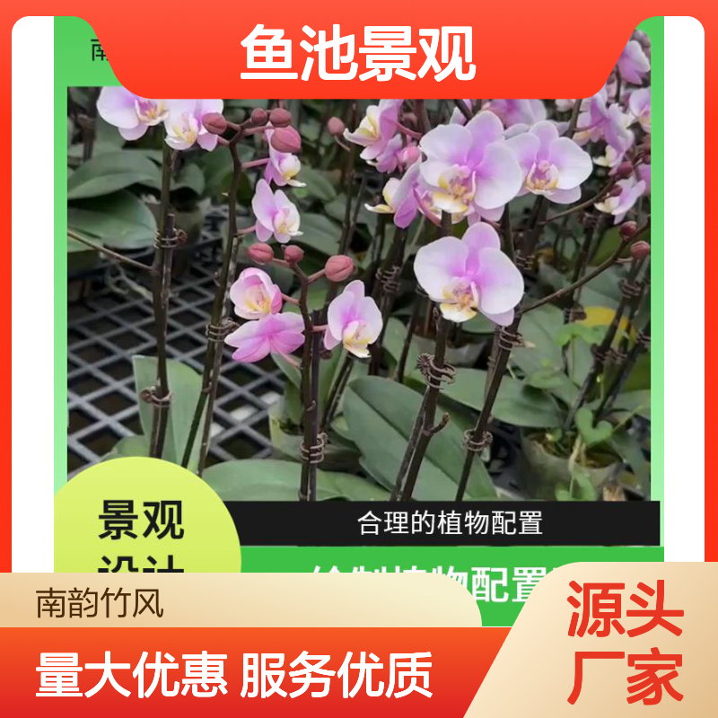 南韵竹风 鱼池景观设计施工 选材优良 服务至上