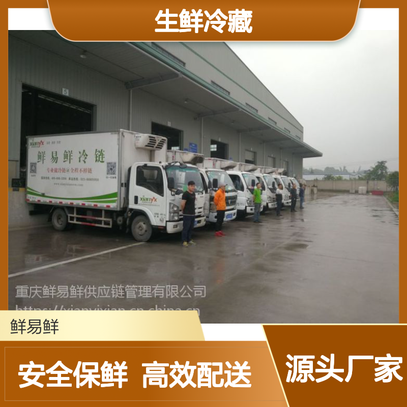 生鲜冷藏冷冻食品配送 冷链零担整车-找鲜易鲜供应链