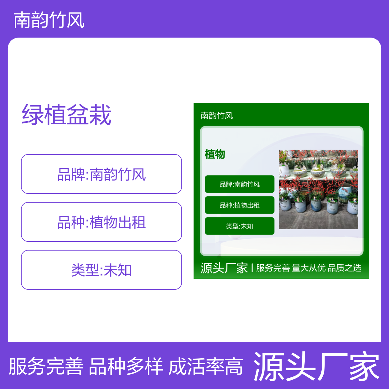 绿植盆栽租赁专家,南韵竹风成活率高 品种多样
