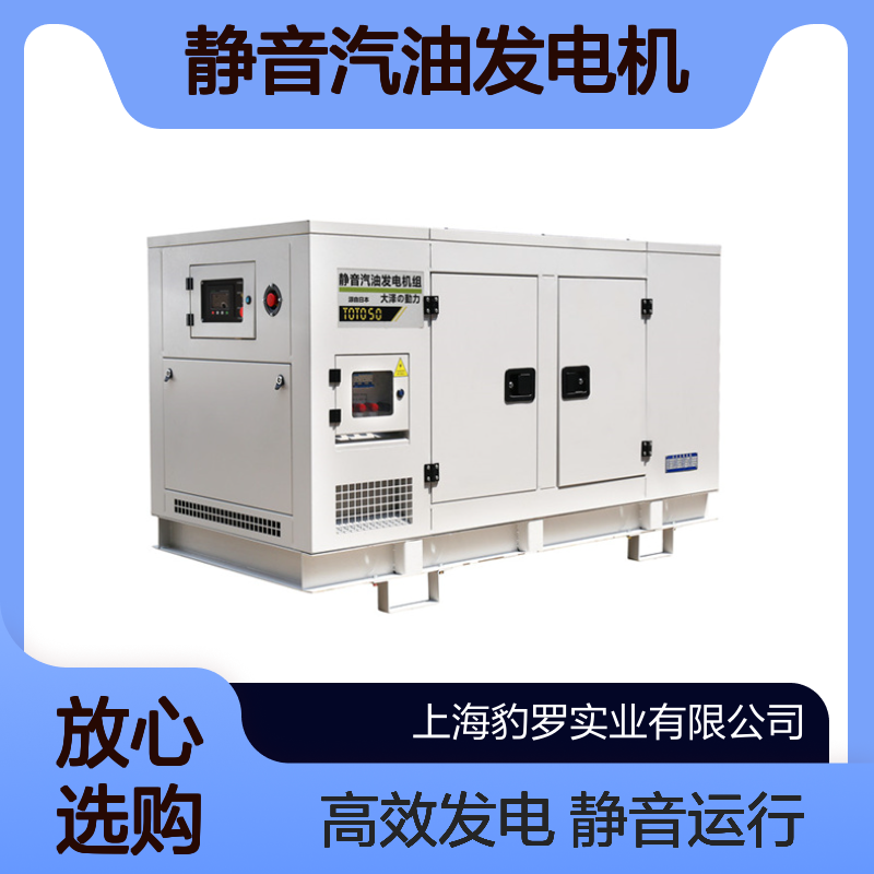 大泽动力水冷40kw静音汽油发电机 三相380v交流无刷别墅应急科考