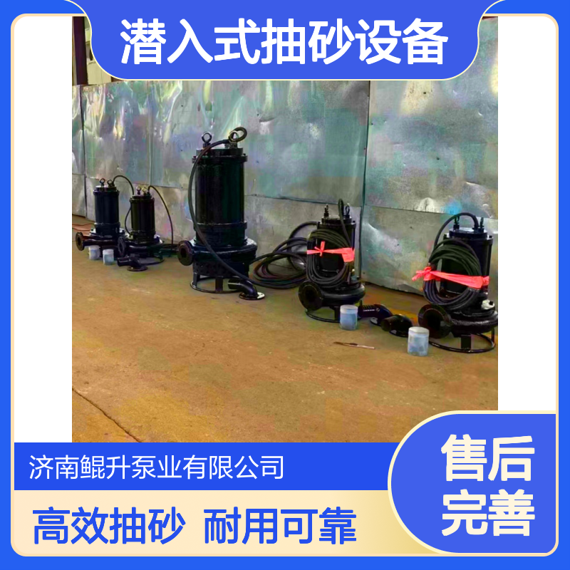 抽沙机吸沙泵 泵放在水里抽沙的泵 潜入式抽砂设备