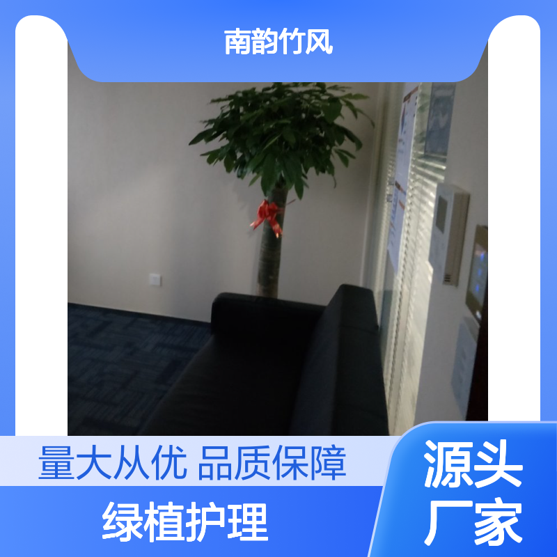 南韵竹风绿植护理 植物租赁服务 品种多样 成活率高