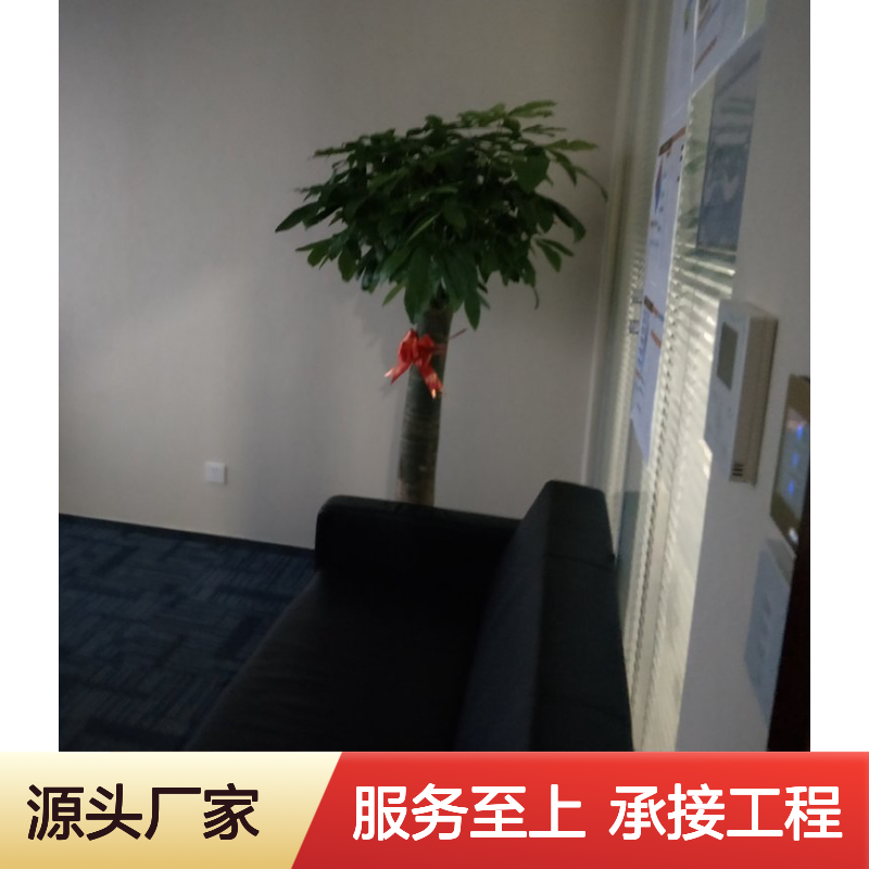 南韵竹风绿植租摆 花卉护理专家 品质如一 成活率高