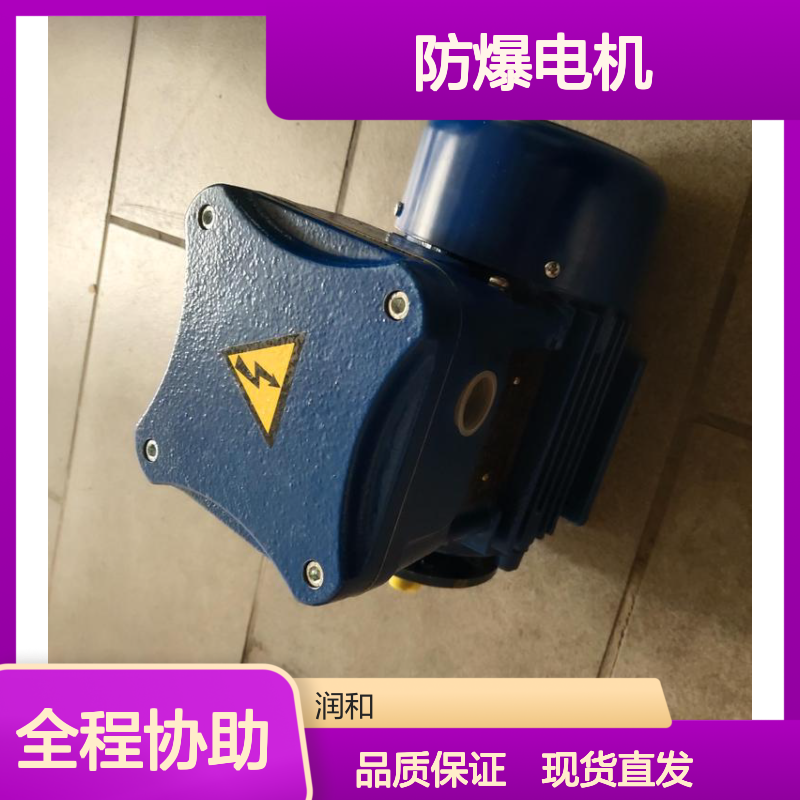 意大利CEMP防爆电机 0.12至160kW功率 危险区域适用电机
