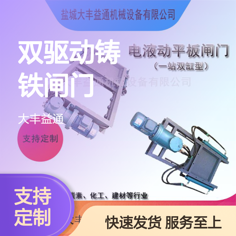 DPZ双驱动铸铁1000*1000闸门dytf1750-1000 一站双缸型