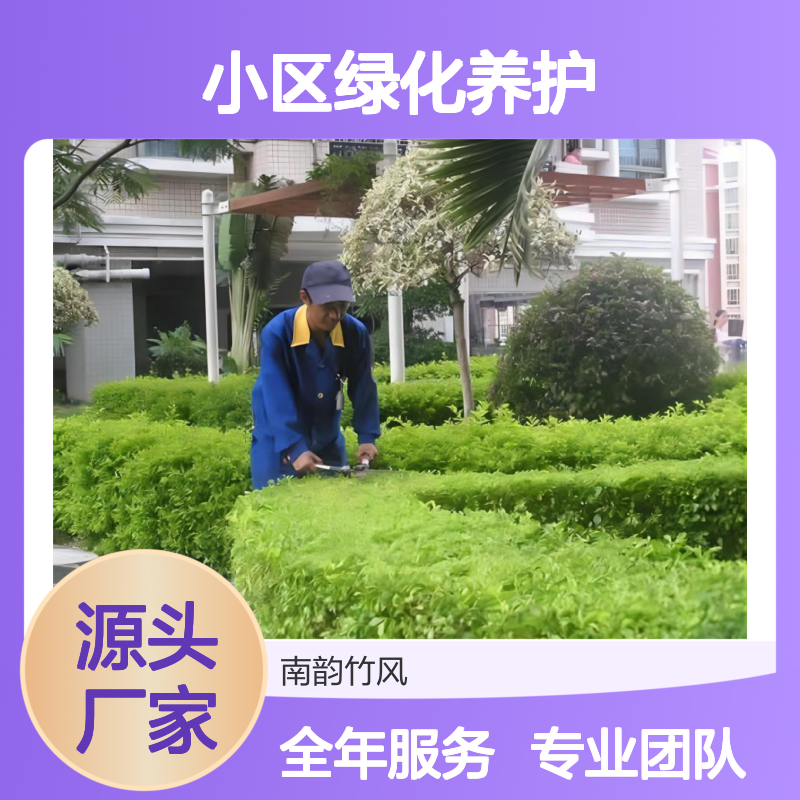 小区绿化养护 团队服务 消杀修剪一体化团队操作 专业服务 南韵竹风