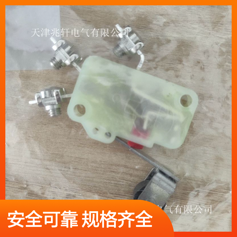 安全锁ZSD5/0.LTG/AZM161SK-12/12施迈赛开关 规格多样