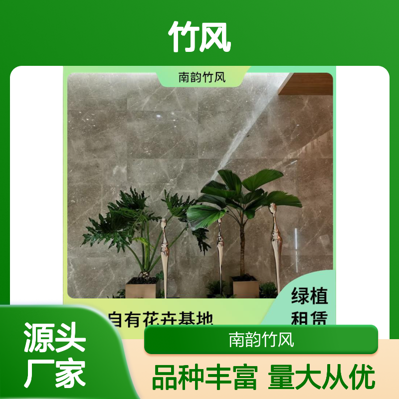 南韵竹风 多样选择 阳生植物租赁 绿植景观制作 定期养护