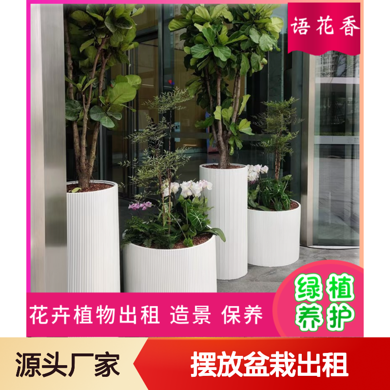 迷你小盆栽植物出租 绿植盆栽组合租赁 长期短期灵活租摆